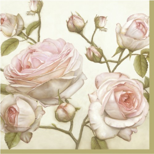 20 Napkins Beauty Roses Pink - 33x33cm / 13x13inch 3 ply